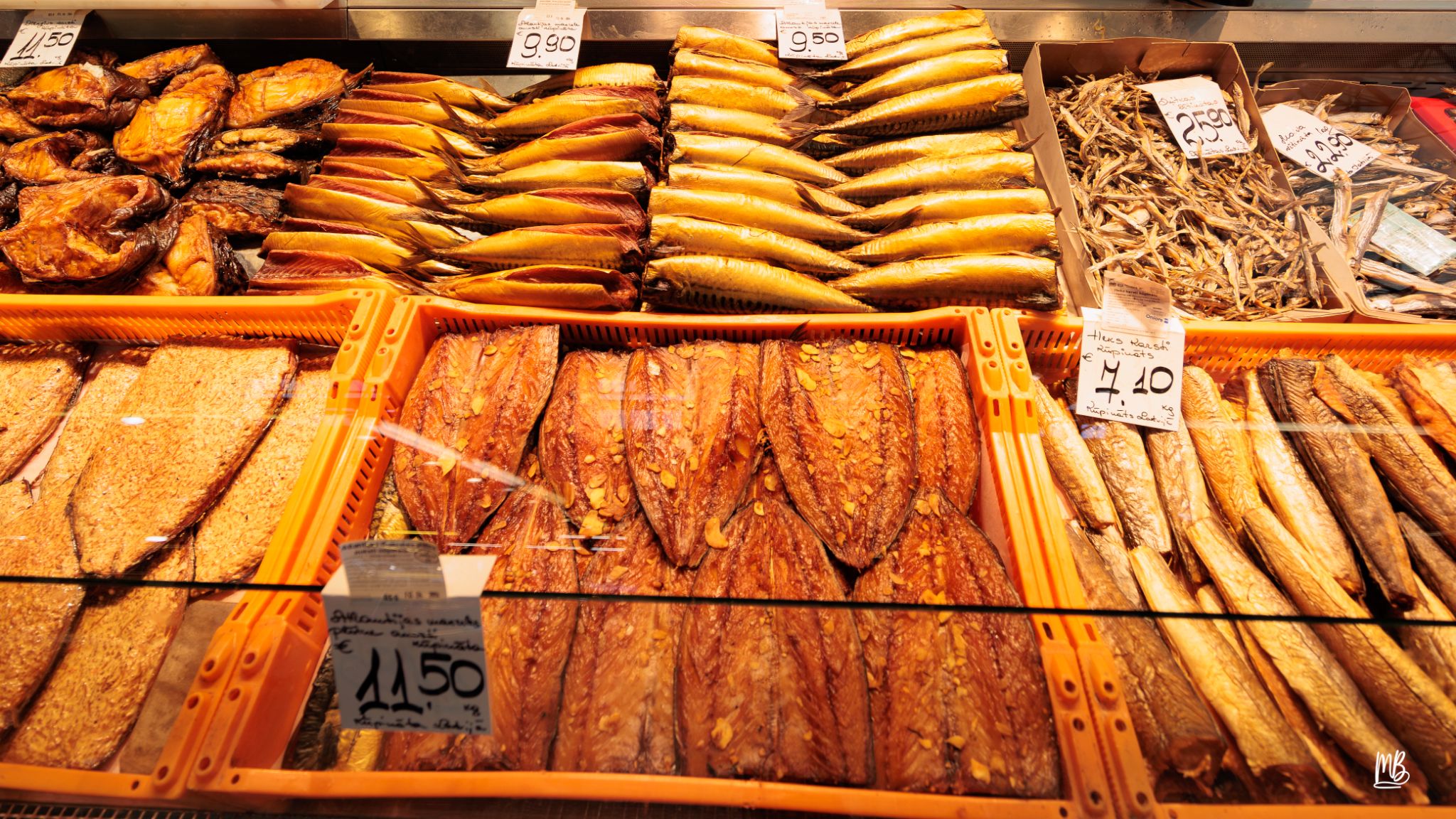 2024   Riga   MB 231